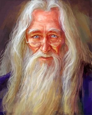 Albus Dumbledore Art Paint By Numbers