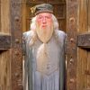 Albus Dumbledore Paint By Numbers