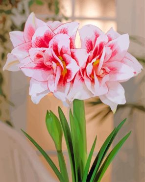 Amaryllis Flowers paint by numbers