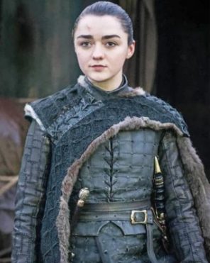 Arya Stark GOT paint by numbers