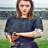 Arya Stark Paint by numbers