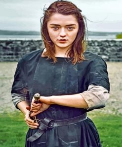 Arya Stark Paint by numbers