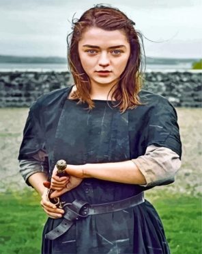 Arya Stark Paint by numbers