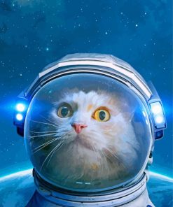 Astronaut Cat In Space paint by numbers