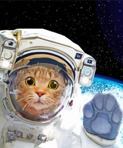 Astronaut Cat paint by number