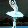 Ballet Swan Lake Paint by numbers