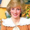 Beautiful Princess Diana paint by number