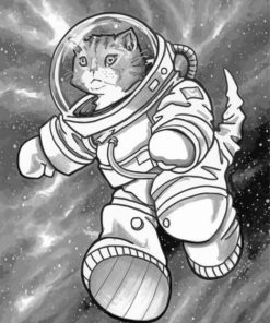 Black and White Astronaut Cat paint by number