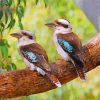 Blue Winged Kookaburra birds paint by number