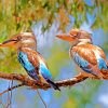 Blue Winged Kookaburra on stick paint by numbers