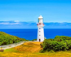 Cape Otway paint by numbers