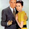 Cary Grant Audrey Hepburn paint by number