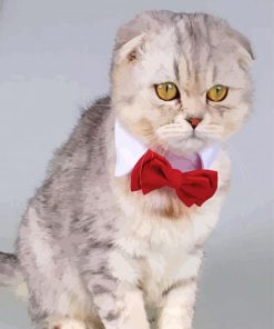 Cat Red Bow tie paint by number