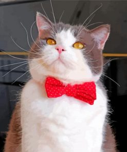 Cat With Bow Tie paint by number