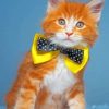 Cat With Neck Bow Tie Paint by numbers