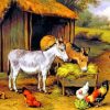 Chickens And Donkeys Feeding Outside A Barn Paint by numbers