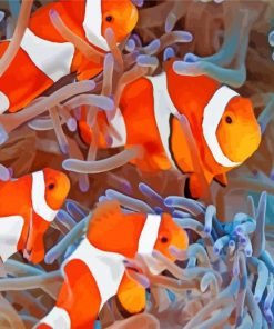 Clownfish Coral Reef paint by number