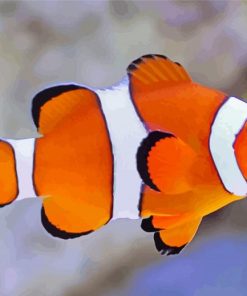 Clownfish paint by numbers