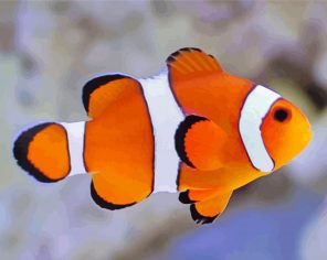 Clownfish paint by numbers