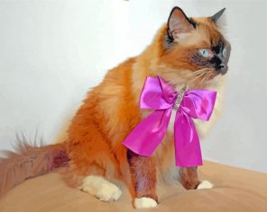 Cute Cat Bow Tie paint by number