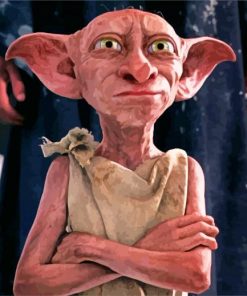 dobby paint by numbers