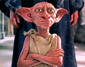 dobby paint by numbers