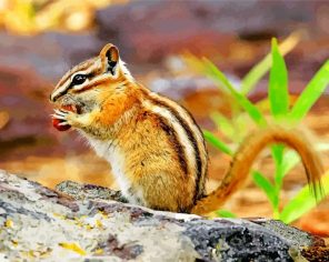 Eastern Chipmunk Rodent paint by numbers