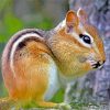 Eastern chipmunk paint by number