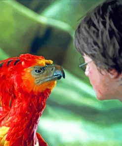 Fawkes Bird Harry Potter Paint By Number