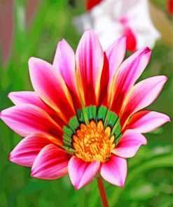 Gazania-flower-paint-by-number