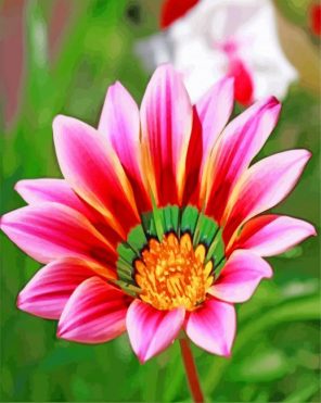 Gazania-flower-paint-by-number