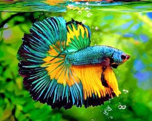 Green Yellow Betta Fish paint by number