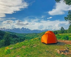Gros Ventre Road Moose Camp paint by numbers