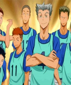 Haikyu Volleyball Players paint by numbers