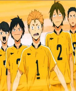 Haikyu terushima team paint by numbers