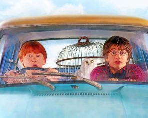 Harry Potter Flying Car paint by numbers