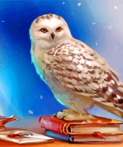 Hedwig Owl Paint by number