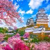 Himeji Castle Cherry Blossom Paint by numbers