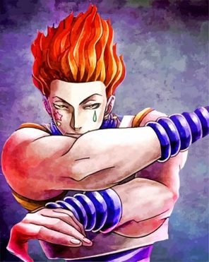 Hisoka Morow Hunter x Hunter Anime paint by number