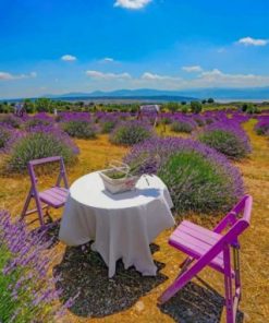 Picnic In Lavender Field Paint by numbers