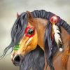 Indian Horse paint by numbers