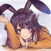 Mai Sakurajima Bunny Girl Anime pant by numbers