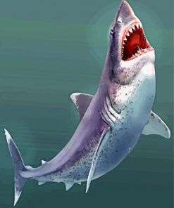 Megalodon shark paint by numbers