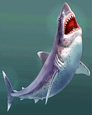 Megalodon shark paint by numbers