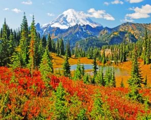 Mount Rainier Landscape Paint by numbers