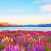 New Zealand Tekapo Lake paint by numbers