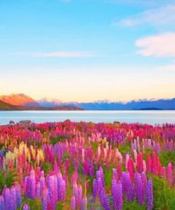 New Zealand Tekapo Lake paint by numbers