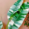 Philodendron-leaves-paint-by-numbers