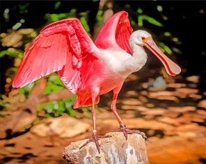 Pink Bird Roseate spoonbill paint by numbers