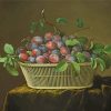 Plums Still Life paint by number